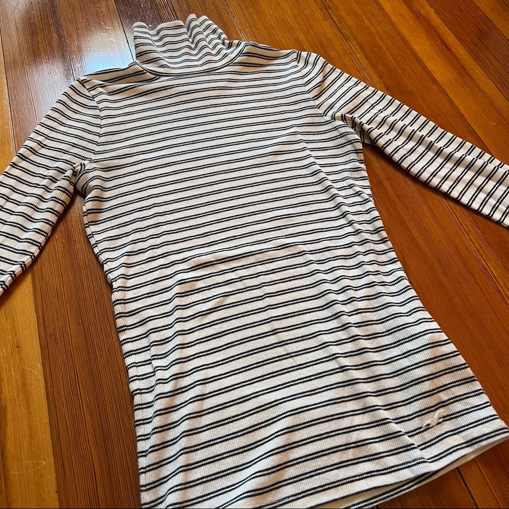 Hollister Turtleneck